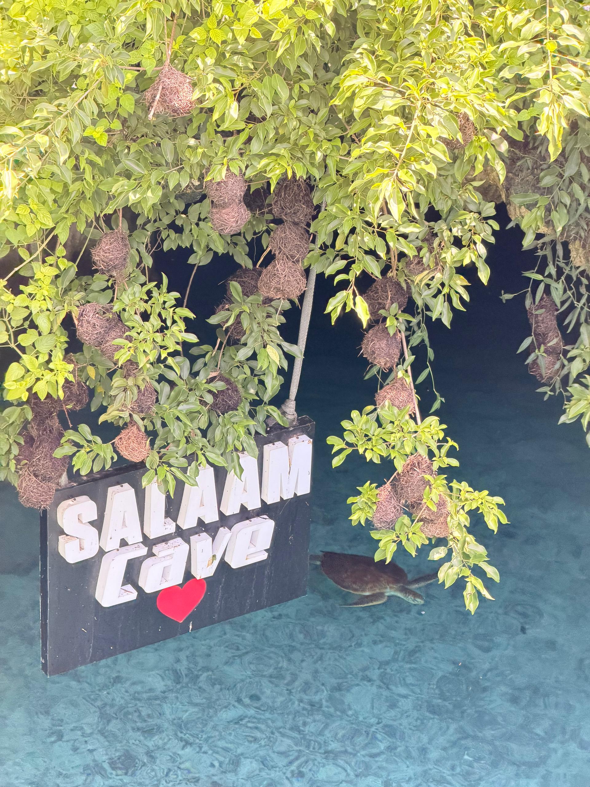 Zanzibar gallery image